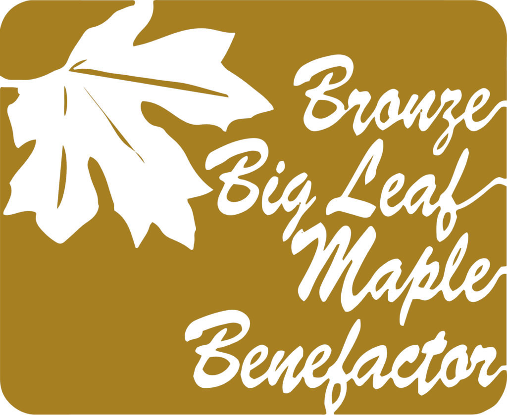 Bronze Big Leaf Maple Benefactor Logo